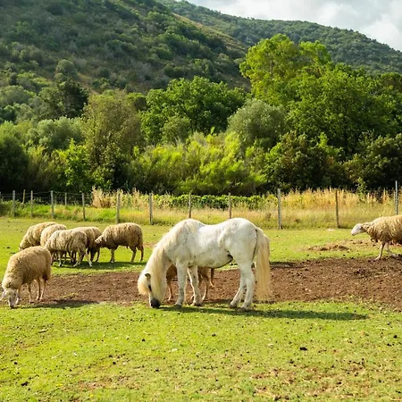 Antica Fattoria La Parrina Agroturismo Orbetello