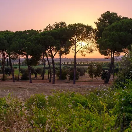Antica Fattoria La Parrina Farm stay *