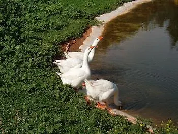 Antica Fattoria La Parrina Agroturismo Orbetello