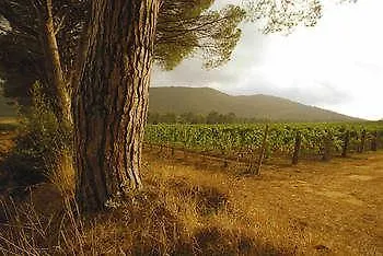 Agroturismo Antica Fattoria La Parrina Orbetello